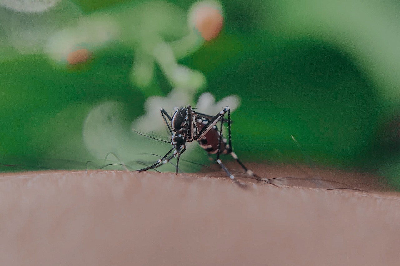 Urządzenia do odstraszania komarów i muszek