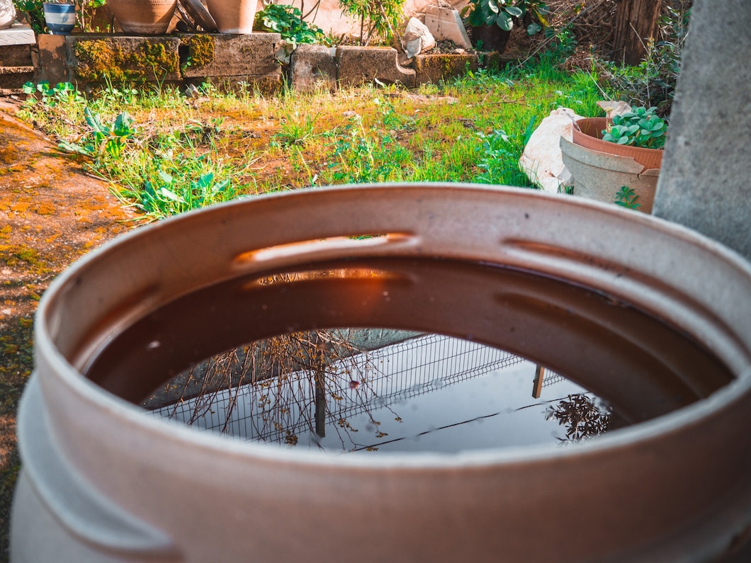 Jak efektywnie wykorzystać zgromadzoną wodę deszczową w domu i ogrodzie?